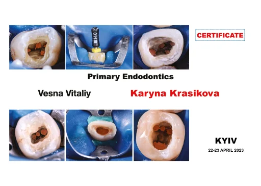 Сертифікат Красікова Карина Андріївна